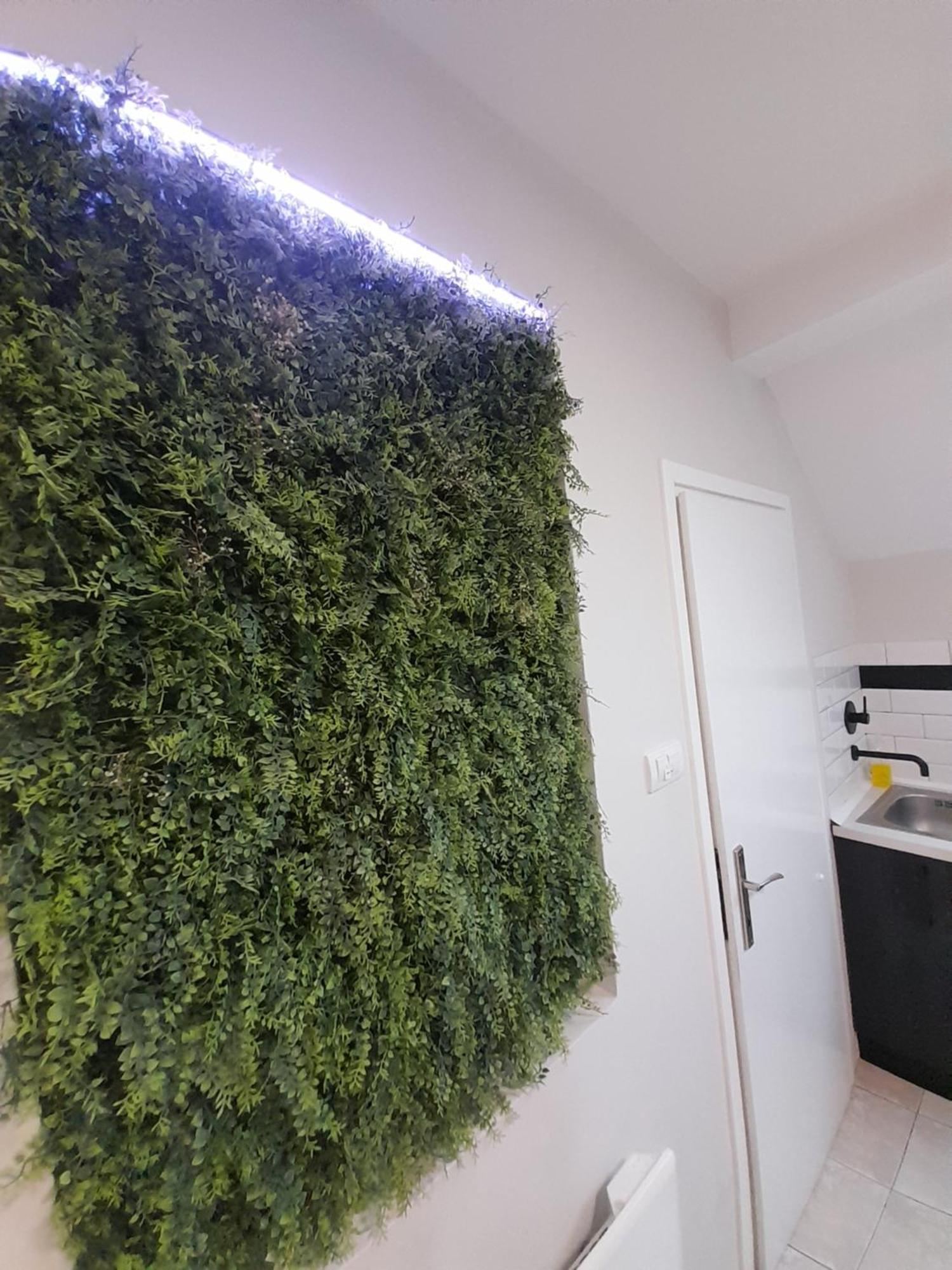 Cool & Cozy Center Apartment ซูโบติกา ภายนอก รูปภาพ